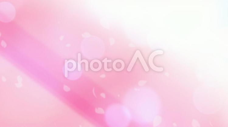 光り輝くピンクの桜、花びらが舞うイメージ（２） テクスチャ,桜,花の写真素材