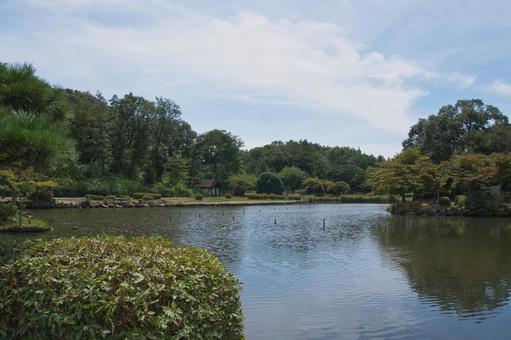 池のある公園 池のある公園 風景,屋外,自然の写真素材