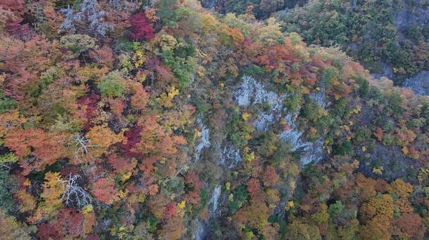 山紅葉009 山,紅葉,山紅葉の写真素材