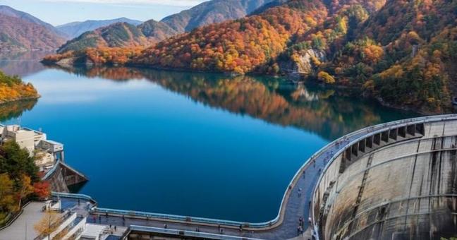 紅葉の黒部ダム 紅葉の黒部ダム ダム,黒部ダム,放水の写真素材