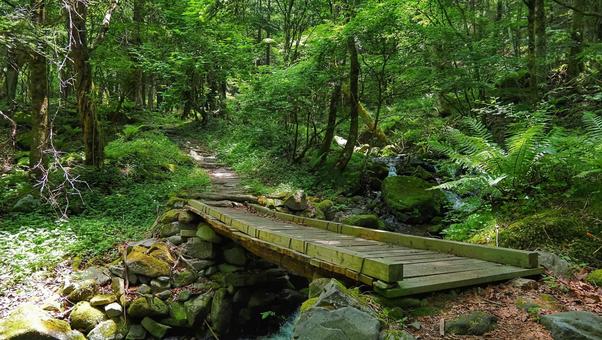 美ヶ原高原の登山道 美ヶ原高原の登山道の写真