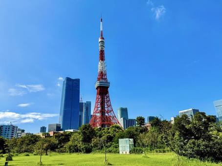 晴れた日の東京タワー 晴れた日の東京タワー 東京タワー,芝公園,東京の写真素材
