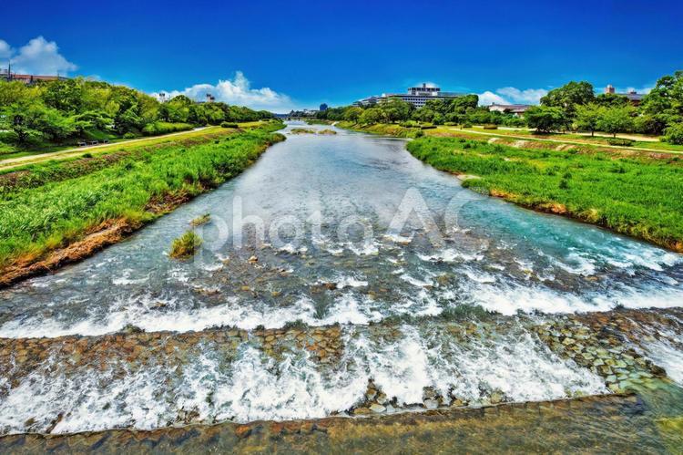 夏の京都を彩る鴨川の流れ。賀茂大橋より。 夏,京都,鴨川の写真素材