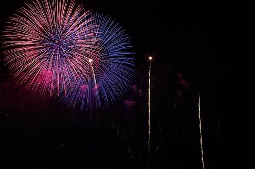 25年長岡まつり 花火 25年長岡まつり 花火の写真