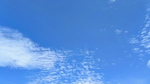 青のキャンバス-21 青のキャンバス-21の写真