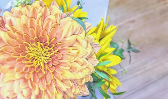 メッセージ花カード メッセージ花カード 花,オレンジ,菊の写真素材