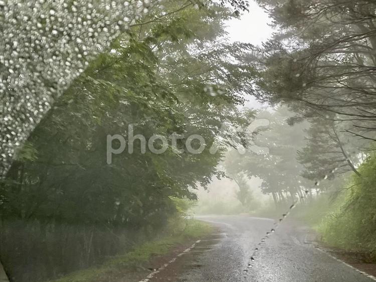 車窓から　雨の高野龍神スカイライン 車窓から,フロントガラス,高野龍神スカイラインの写真素材