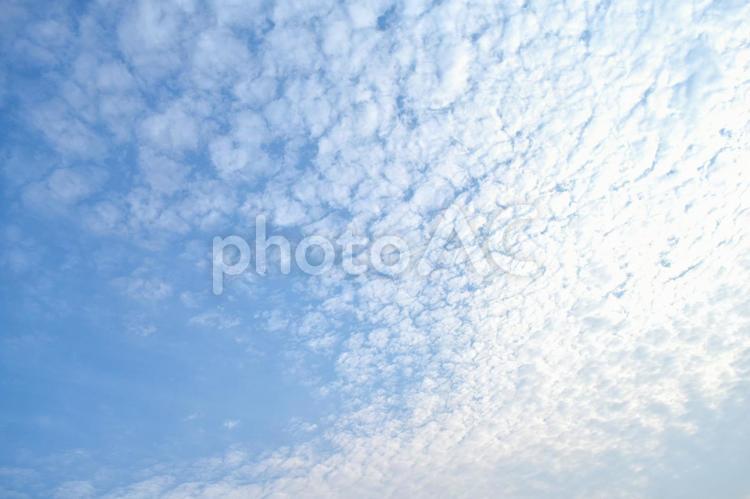 ウロコ雲　羊雲　空　青空　綺麗　背景 ウロコ雲,羊雲,空の写真素材