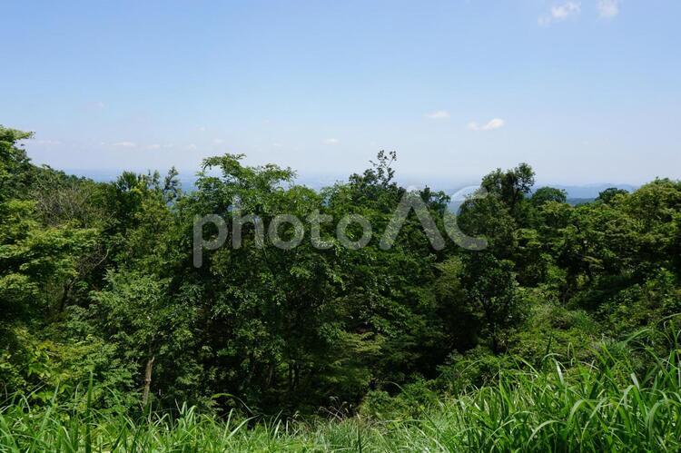 高尾山　山頂付近からの風景　都内方面 高尾山,一号路,山頂の写真素材