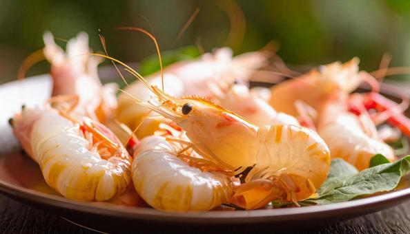 皿に盛られた海老の写真