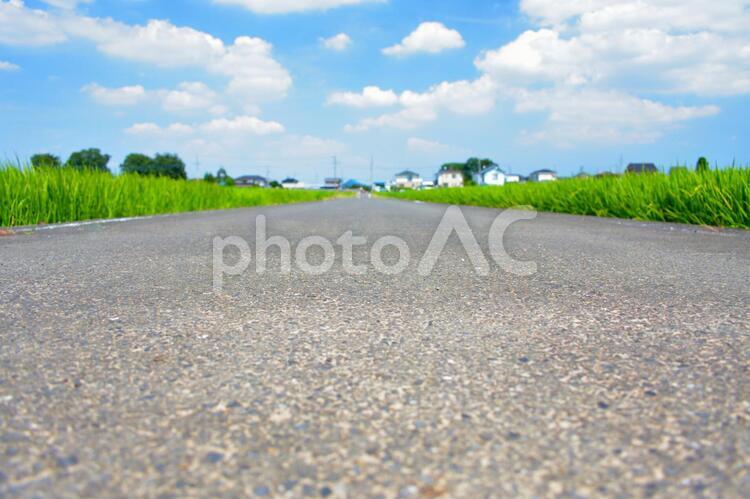 まっすぐ続く田舎の道 まっすぐ続く田舎の道,どこまでも続く道,まっすぐの写真素材