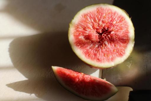 自家製いちじく　その２ 植物,無花果,甘いの写真素材