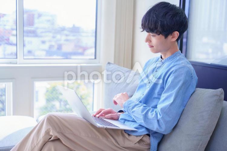 窓際のソファでラップトップを使う男性 男性,パソコン,ソファの写真素材