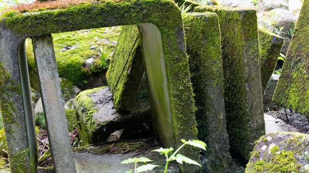 苔に覆われた静寂のブロック 苔に覆われた静寂のブロックの写真