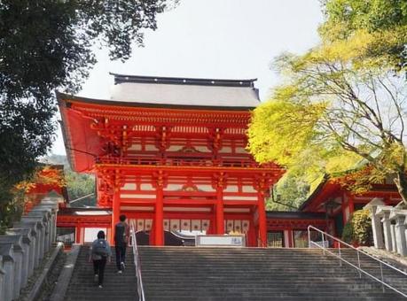 近江神宮 近江神宮,大津京,神社の写真素材