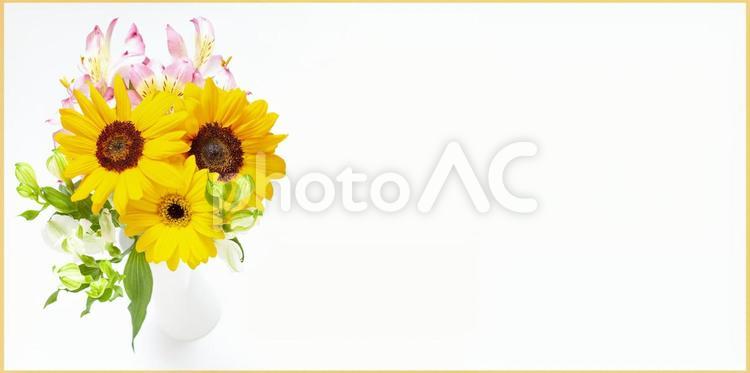 黄色をメインとしたキュートな花束素材 花,黄色,ひまわりの写真素材