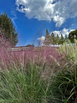 秋の風景 秋,秋の素材,イメージの写真素材