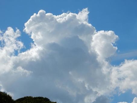 【風景写真】夏空 【風景写真】夏空の写真