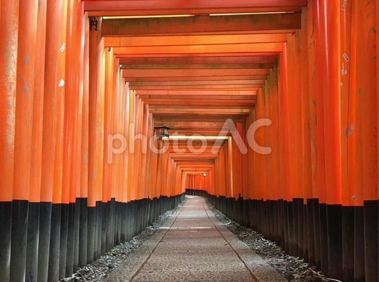 伏見稲荷 伏見稲荷,京都,稲荷の写真素材