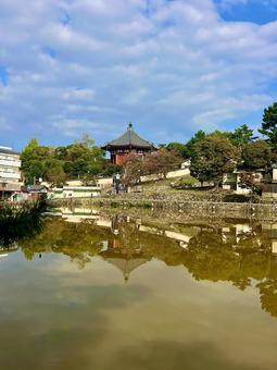 猿沢池から望む興福寺南円堂 猿沢池,興福寺,南円堂の写真素材