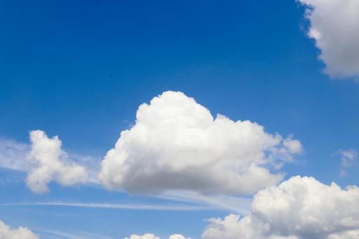 夏の白雲 夏の白雲の写真