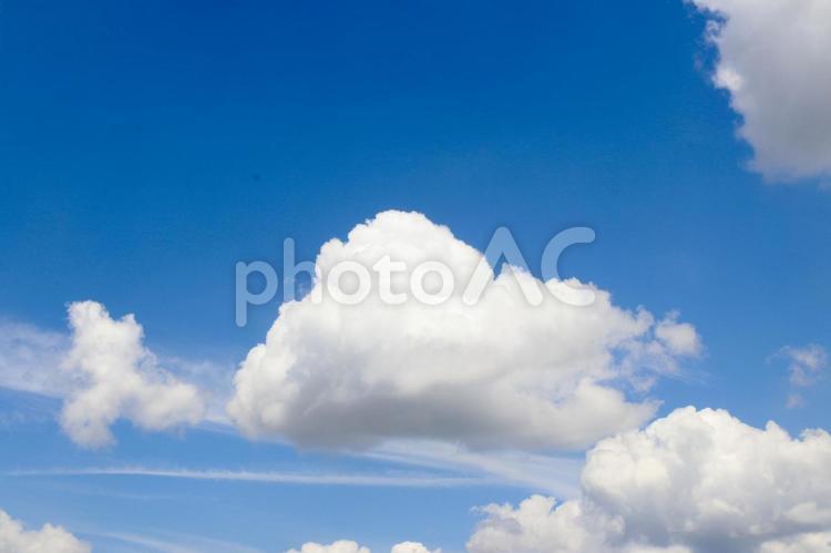 夏の白雲 夏,雲,空の写真素材