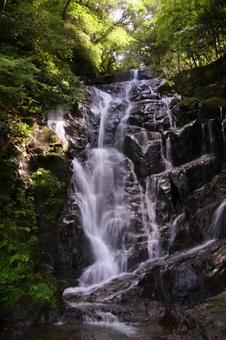 雄大な白糸の滝 雄大な白糸の滝の写真