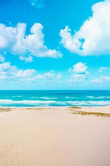 【鳥取】青空と鳥取砂丘 鳥取砂丘,砂漠,砂丘の写真素材