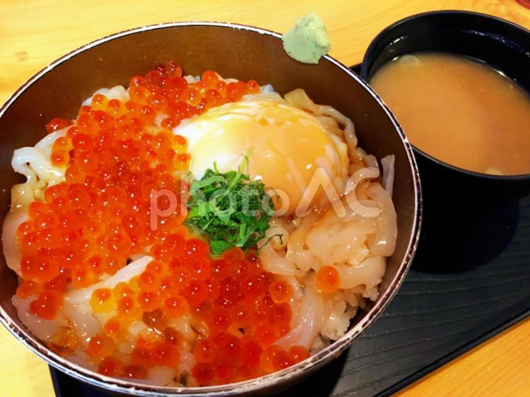 いかといくら丼 イカ,いくら,丼の写真素材