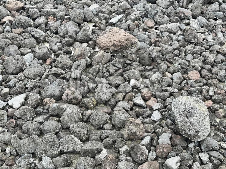 富士山の石　静岡県富士山世界遺産センター 静岡県富士山世界遺産センター,ホール,世界遺産の写真素材