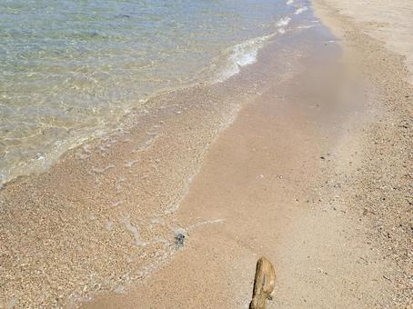 波打ち際 波打ち際の写真