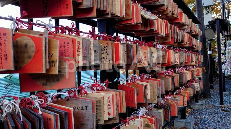 伊香保神社　絵馬 伊香保神社,絵馬,神社の写真素材