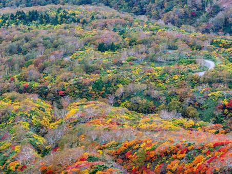 紅葉の秋田駒ケ岳 紅葉の秋田駒ケ岳の写真