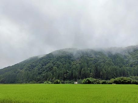 生まれる雨雲と田舎の風景1 生まれる雨雲と田舎の風景1 積乱雲,入道雲,生まれるの写真素材