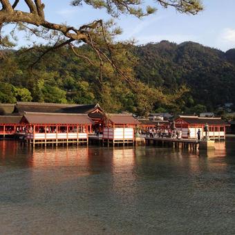 厳島神社 厳島神社 厳島神社,広島,観光名所の写真素材