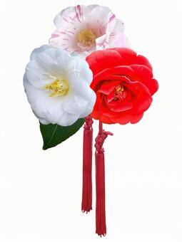 椿の飾り psd,椿,赤の写真素材