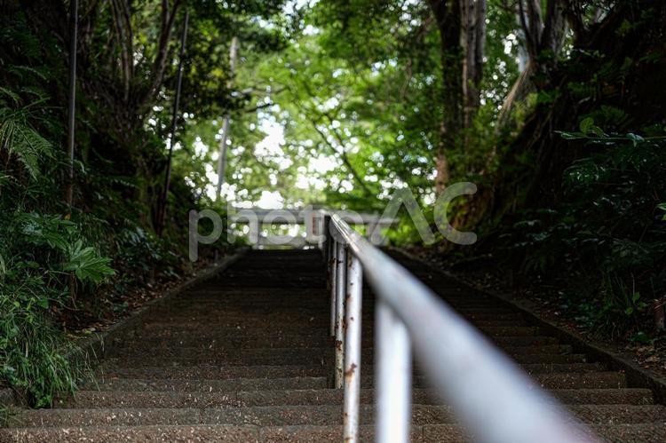 神社へと続く階段 階段,神社,手すりの写真素材