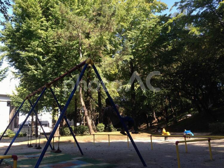 ブランゴと木々のある公園 夏,公園,遊具の写真素材