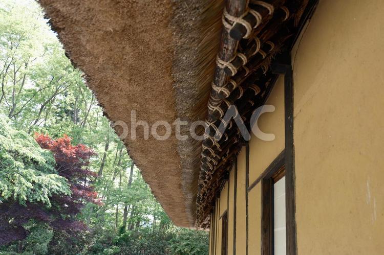 花巻市旧小原家住宅　茅葺屋根の古民家 花巻市,旧小原家,茅葺屋根の写真素材