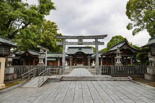 八代宮　鳥居と楼門 八代宮,神社,鳥居の写真素材