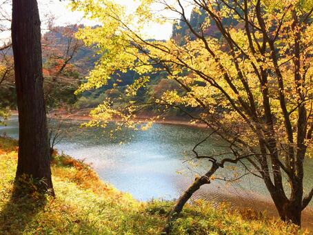 Fall landscape, autumn, the scenery, landscape, JPG