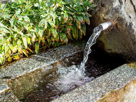きれいな湧き水が湧き出す 井戸水,湧き水,美しいの写真素材