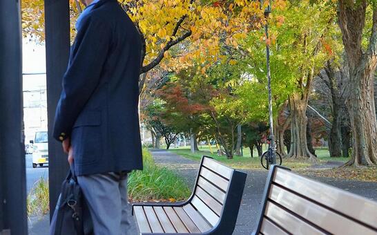 バスを待つ秋 バス停,秋,人の写真素材