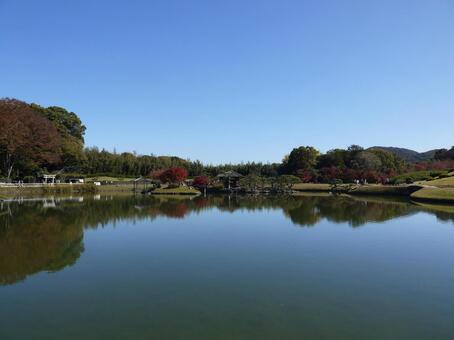 秋の庭園　リフレクション 秋,紅葉,池の写真素材