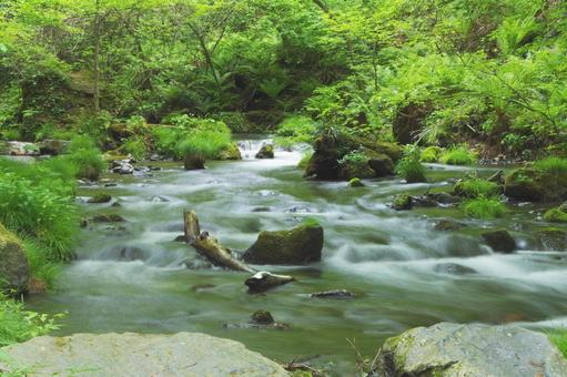 川の流れ 川の流れの写真