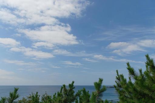 青空が広がる海と松葉 青空が広がる海と松葉の写真