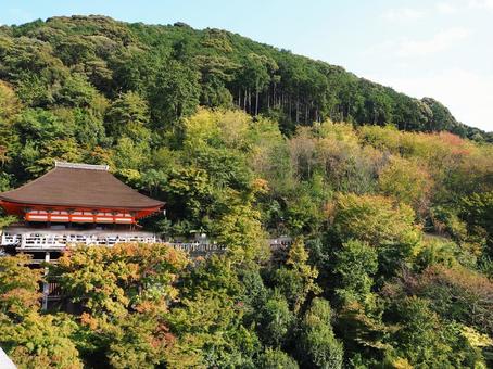 清水寺 京都,清水寺,秋の写真素材
