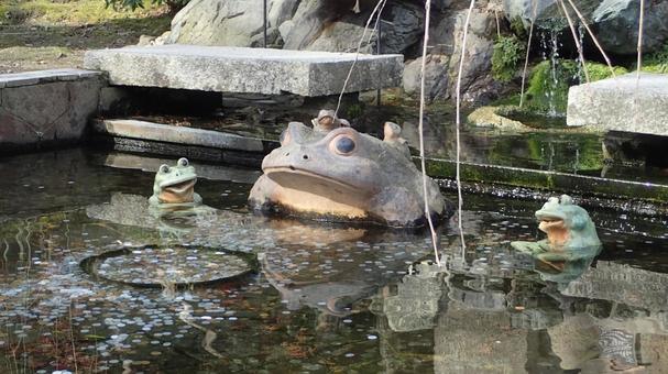 枝垂れ泉の蛙 枝垂れ泉の蛙 カエル,庭園,天龍寺の写真素材