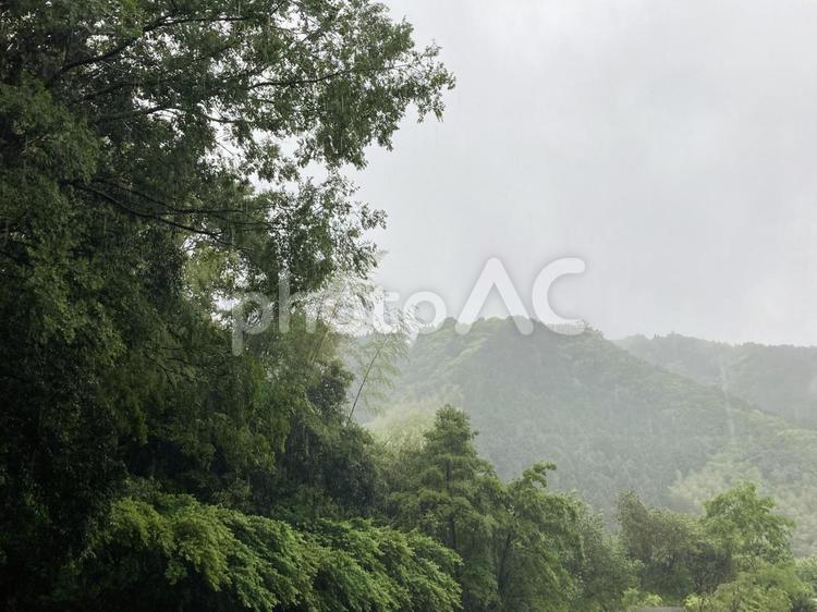 雨の日の靄がかかった山 山,空,風景の写真素材