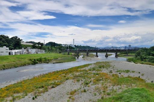 多摩川を渡る武蔵野南線の貨物列車 貨物列車,武蔵野南線,橋の写真素材